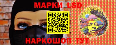 стаф Берёзовский