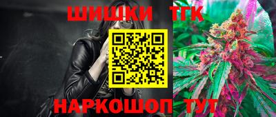 тгк Бийск