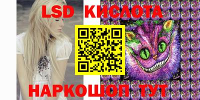 стаф Берёзовский