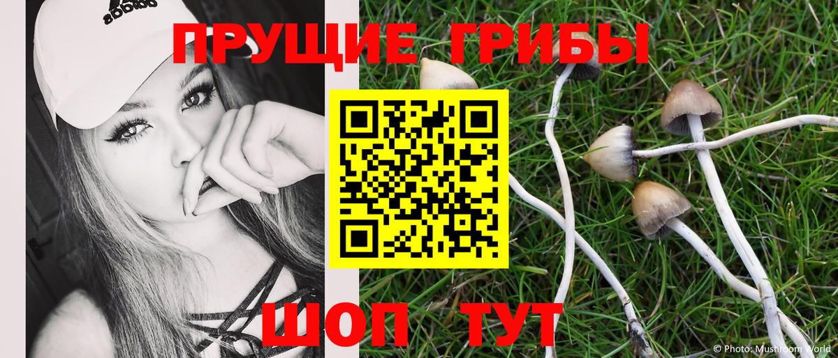 Псилоцибиновые грибы мицелий  Галлюциногенные грибы GOLDEN TEACHER  Вход с VPN  Каменск-Шахтинский 