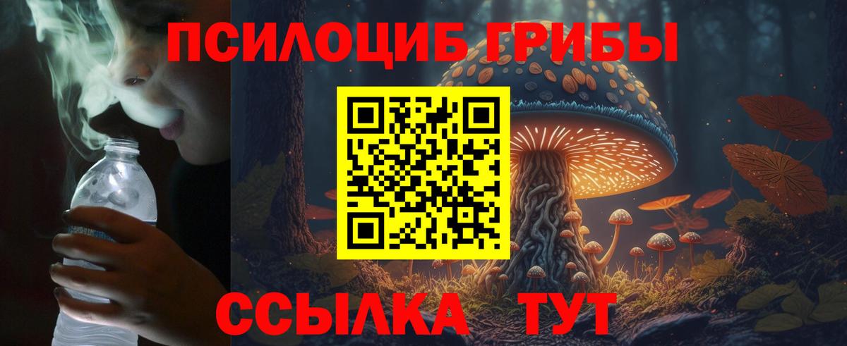 Галлюциногенные грибы мицелий Каменск-Шахтинский
